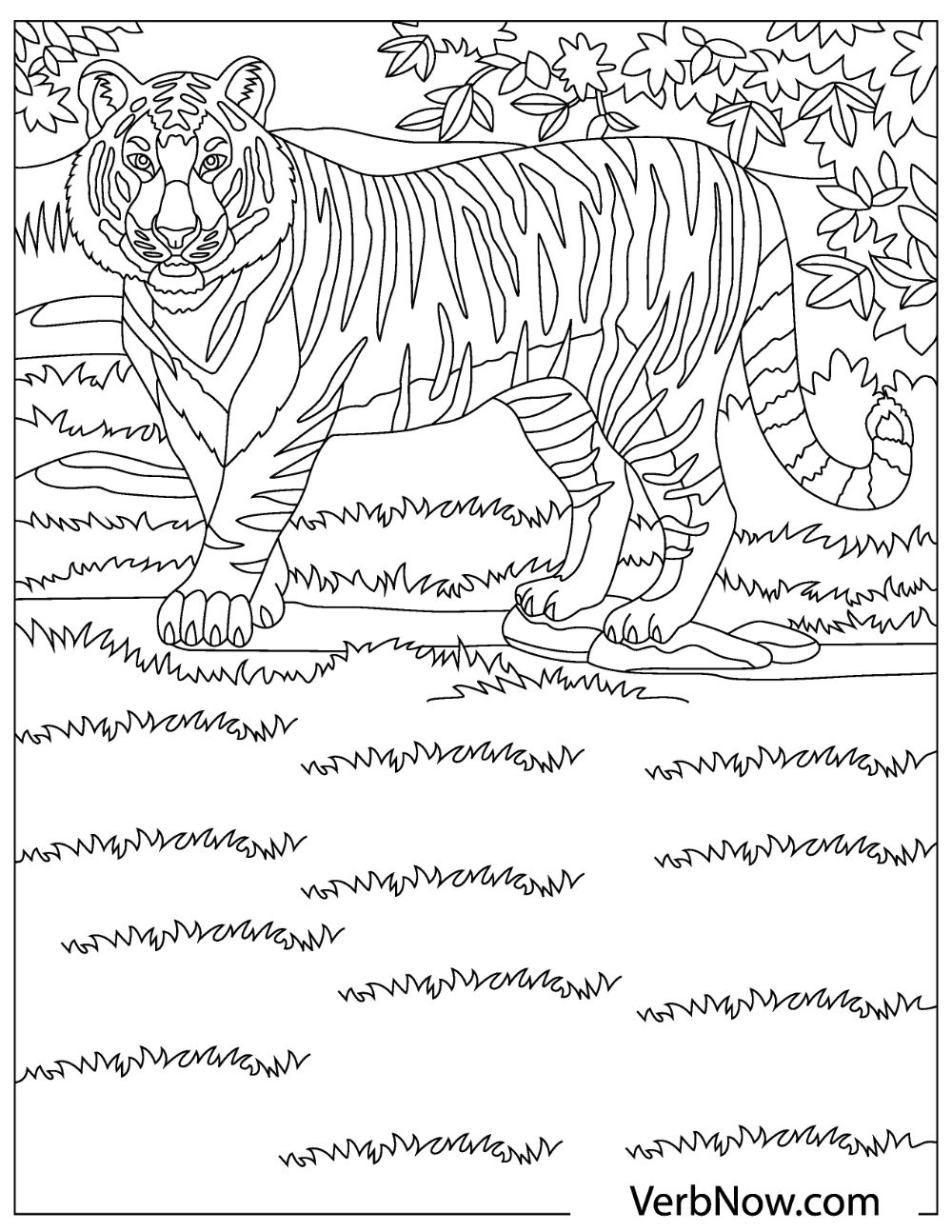 Free Tigers Coloring Pages For Download PDF Free Tigers Coloring Pages For Download PDF