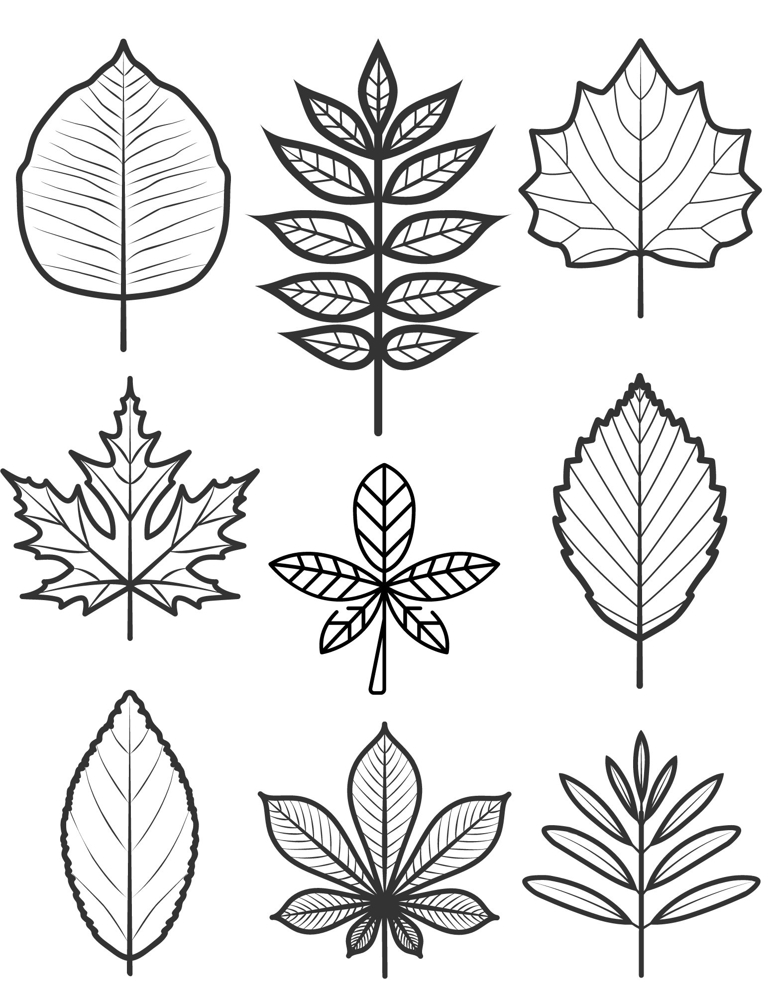 Fun Fall Leaves Coloring Pages For Kids And Adults