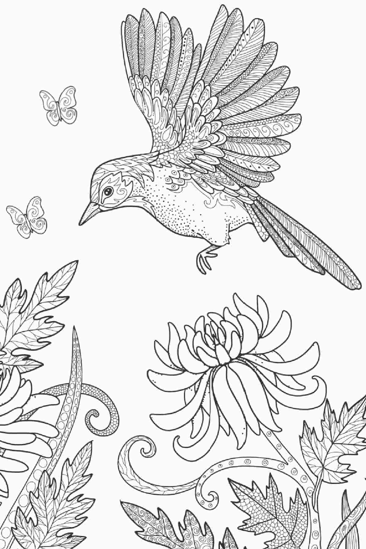 Get 20 Free Spring Coloring Pages Flowers Butterflies More Get 20 Free Spring Coloring Pages Flowers Butterflies More