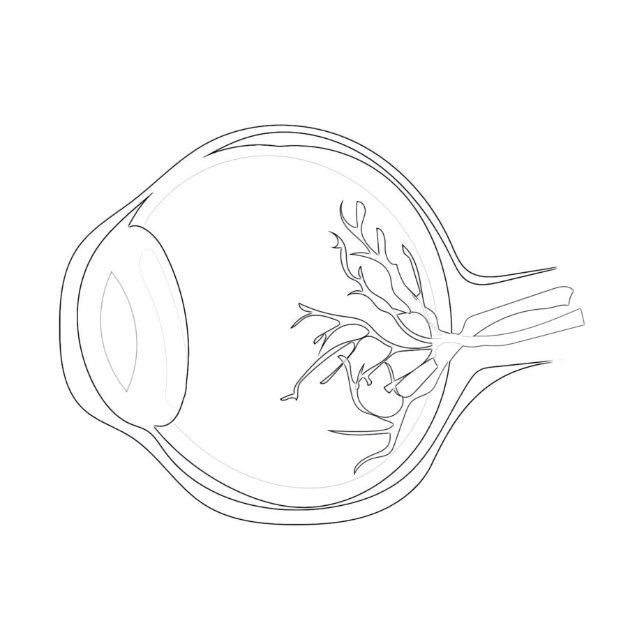 Eye Coloring Pages Printable