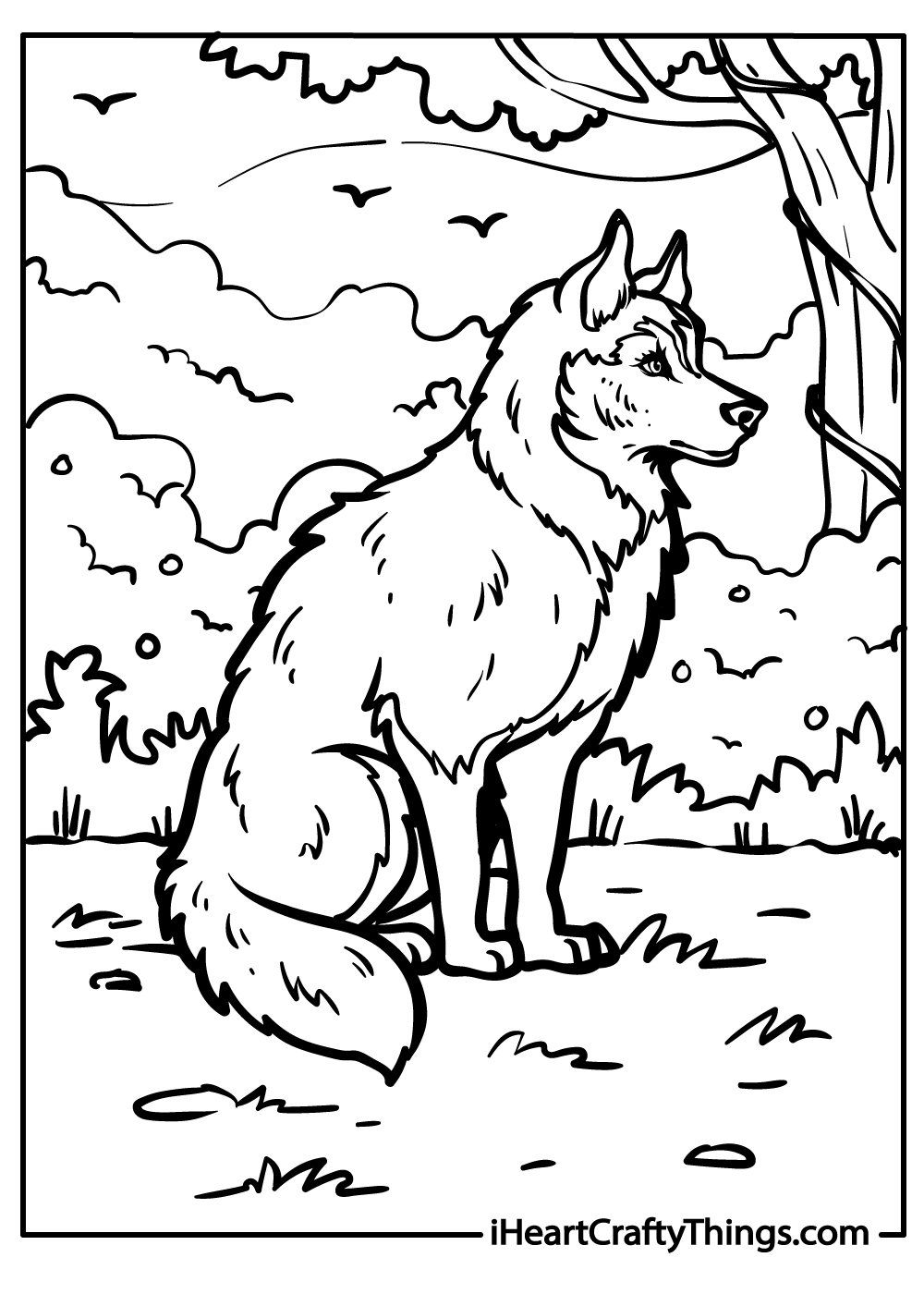 Husky Printable Coloring Pages Husky Printable Coloring Pages