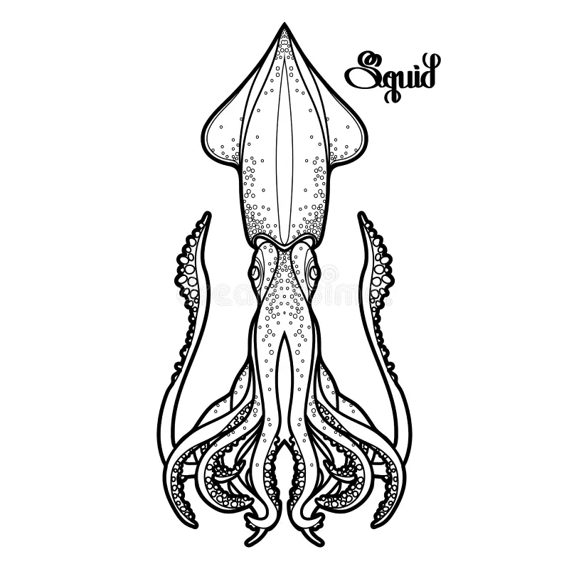 Kraken Coloring Stock Illustrations 75 Kraken Coloring Stock Illustrations Vectors Clipart Dreamstime
