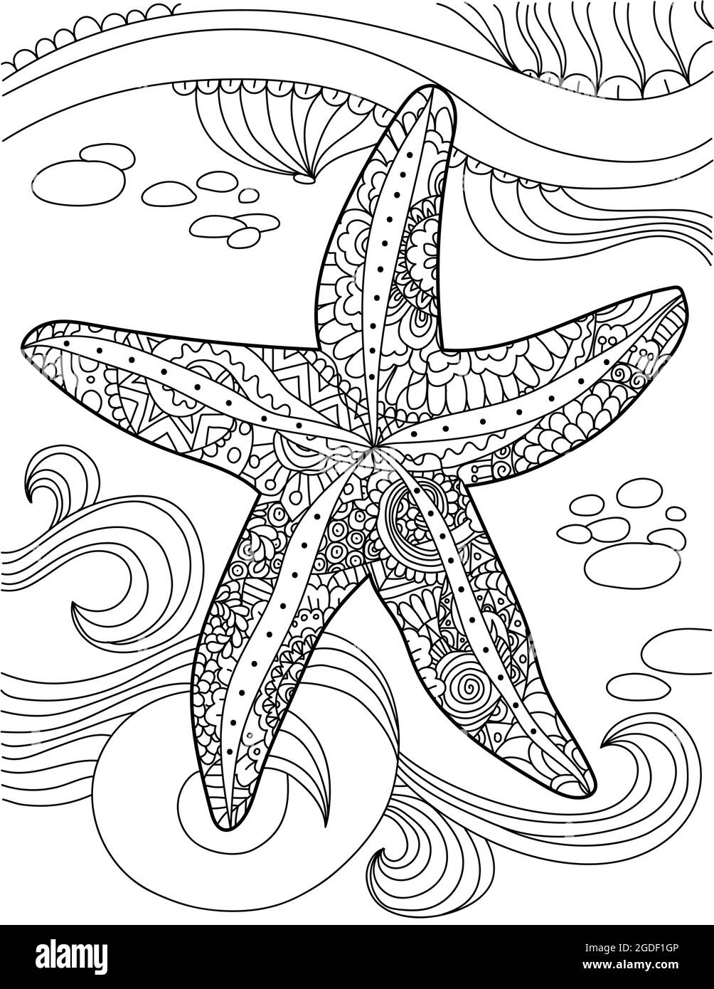 Large Starfish Top View Under Water With Ocean Waves Colorless Line Drawing Huge Sea Star Below Water Coloring Book Page Stock Vector Image Art Alamy Large Starfish Top View Under Water With Ocean Waves Colorless Line Drawing Huge Sea Star Below Water Coloring Book Page Stock Vector Image Art Alamy