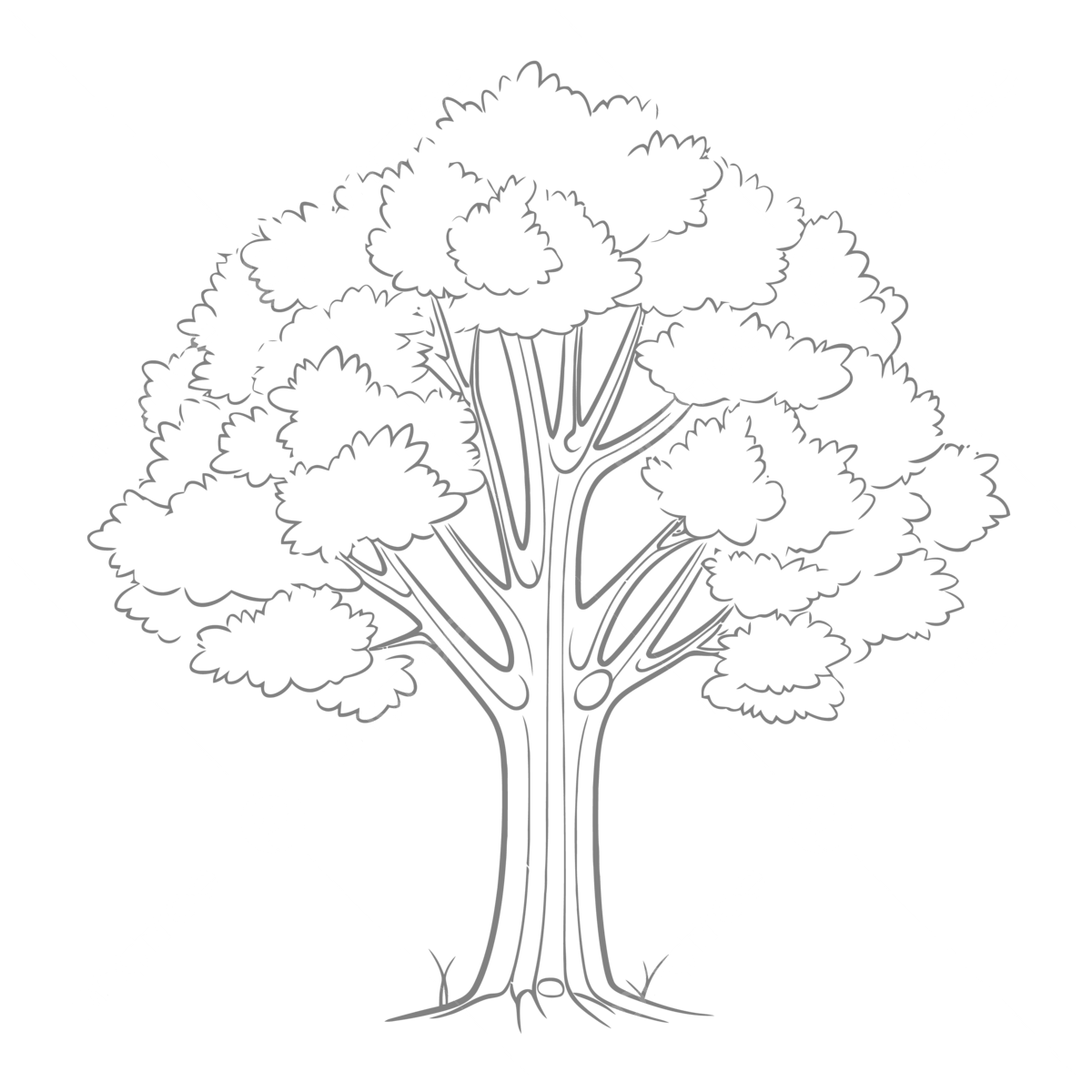 Large Tree Coloring Page Free Printable Coloring Pages Outline Sketch Drawing Vector Tree Drawing Wing Drawing Ring Drawing PNG And Vector With Transparent Background For Free Download Large Tree Coloring Page Free Printable Coloring Pages Outline Sketch Drawing Vector Tree Drawing Wing Drawing Ring Drawing PNG And Vector With Transparent Background For Free Download