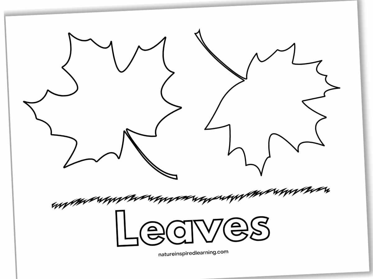 Leaf Coloring Pages Nature Inspired Learning Leaf Coloring Pages Nature Inspired Learning
