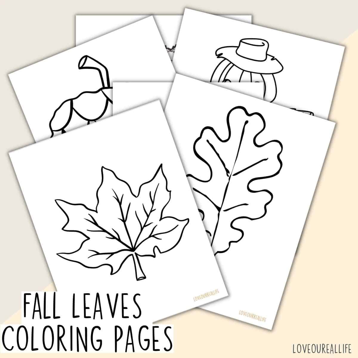 Leaf Template Printable Story Love Our Real Life