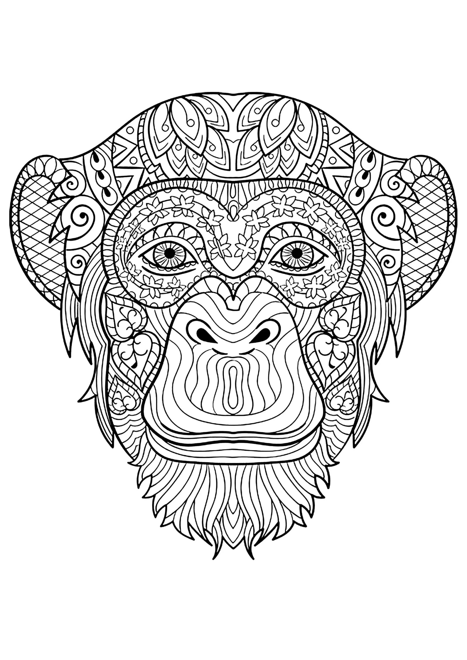 Monkey Coloring Page To Print For Kids Monkey Coloring Pages Monkey Coloring Page To Print For Kids Monkey Coloring Pages
