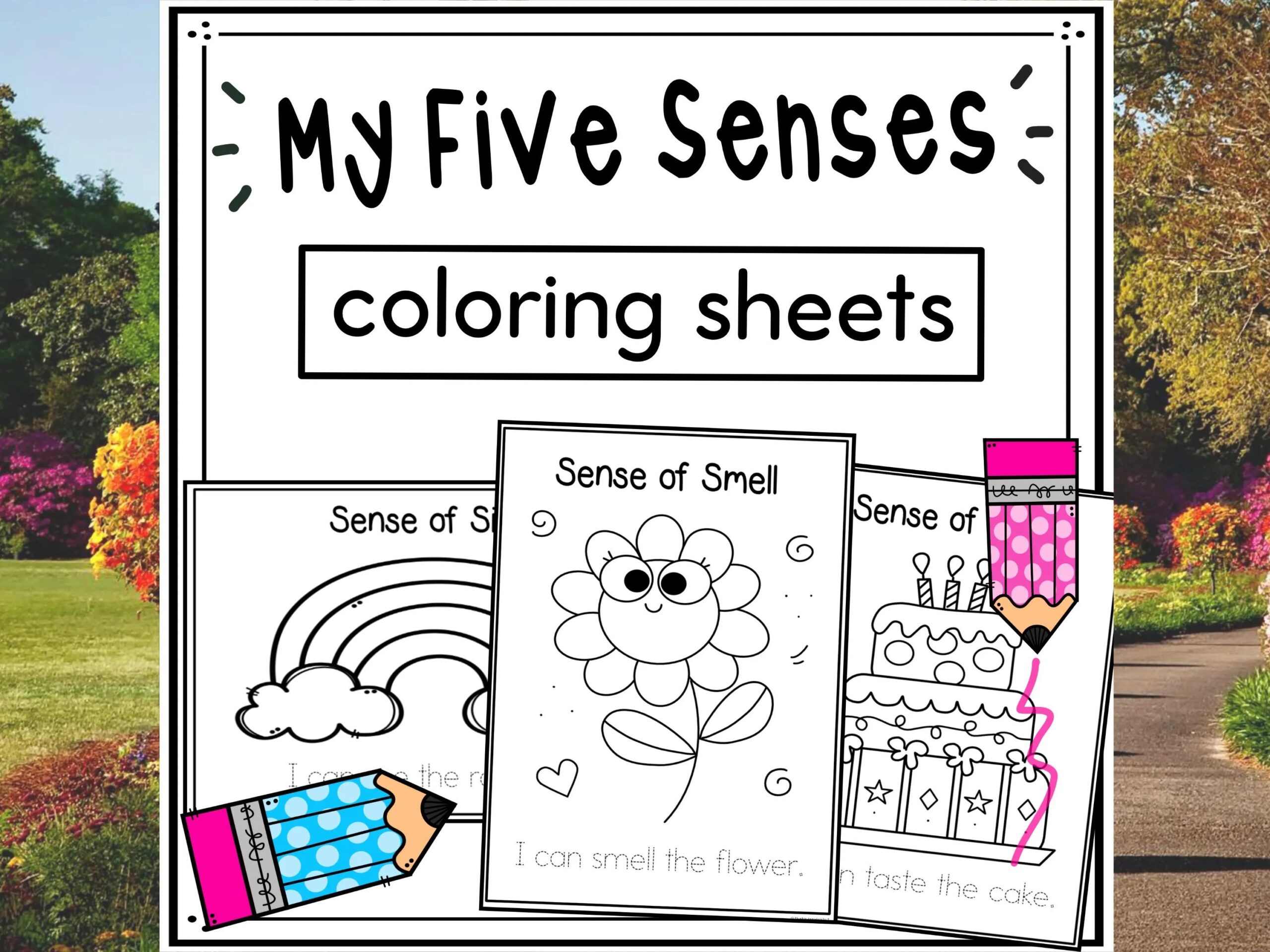 Five Senses Coloring Pages Free