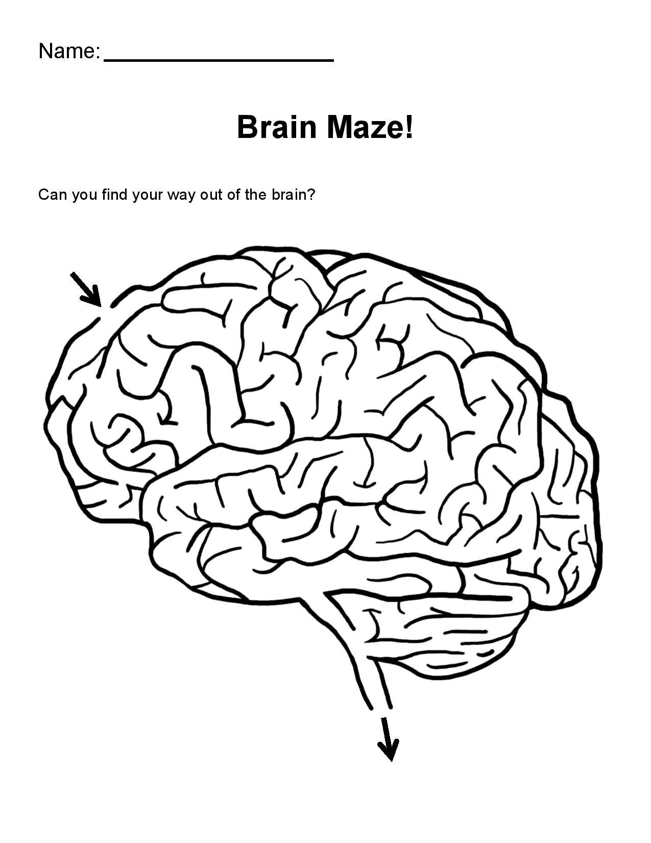 Neuroscience Coloring Pages GLIA