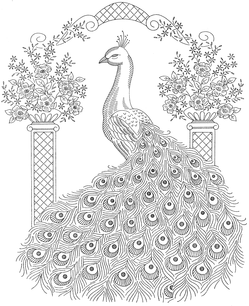 Free Coloring Pages Peacock Free Coloring Pages Peacock