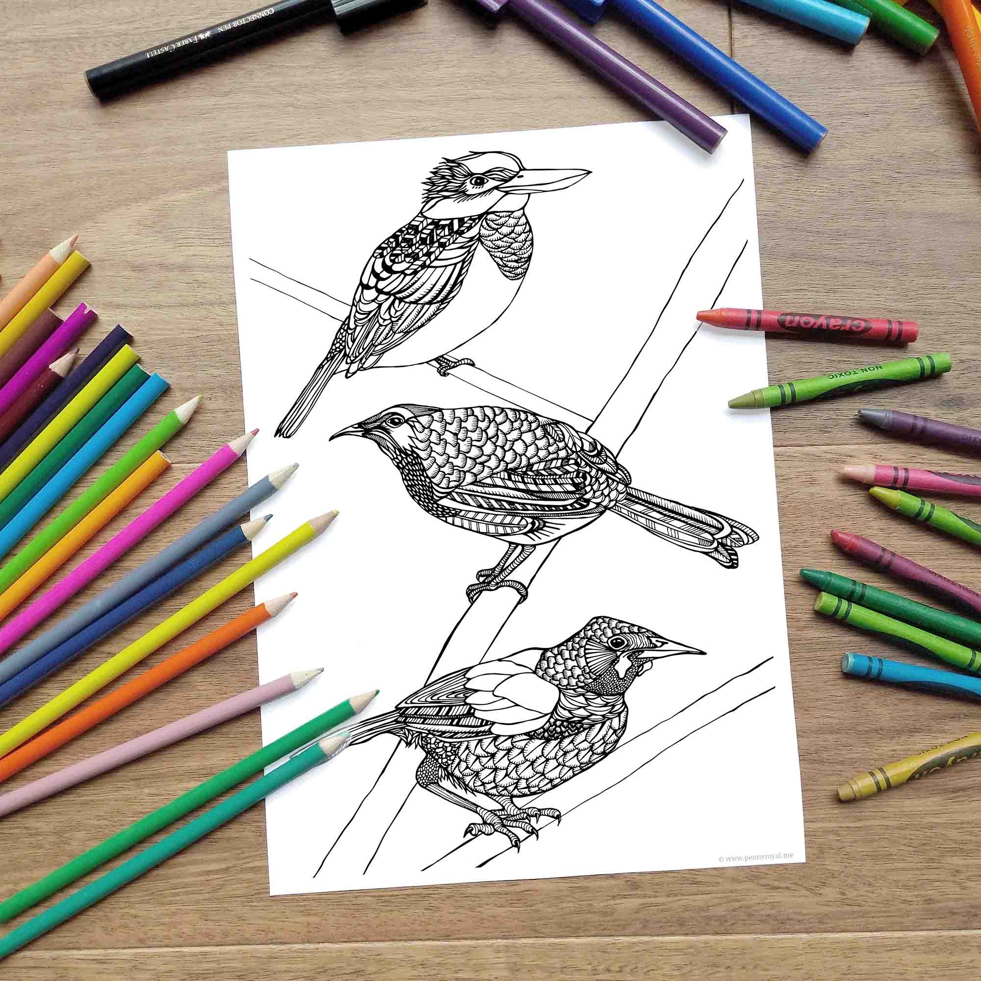 Perching Birds Coloring Page Digital Download FREE Penny Royal Design
