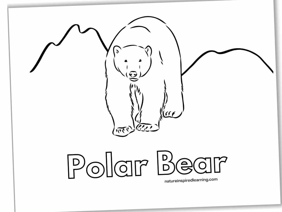 Polar Bear Coloring Pages Nature Inspired Learning