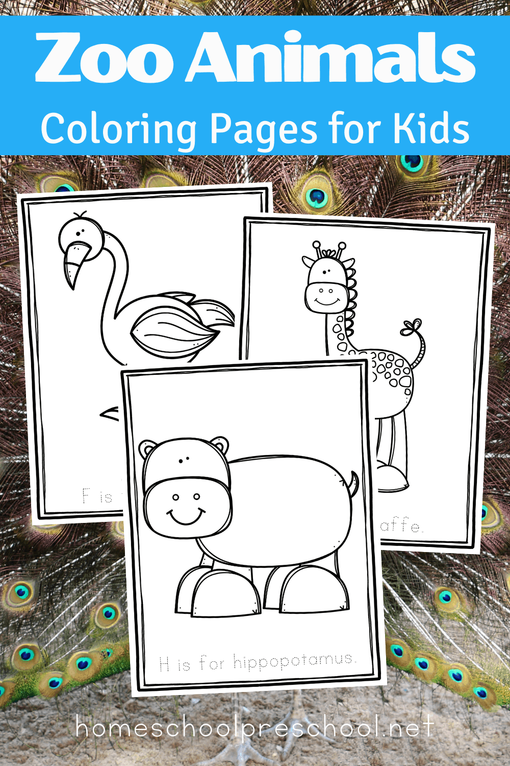 Printable Zoo Animal Coloring Pages For Preschool Printable Zoo Animal Coloring Pages For Preschool