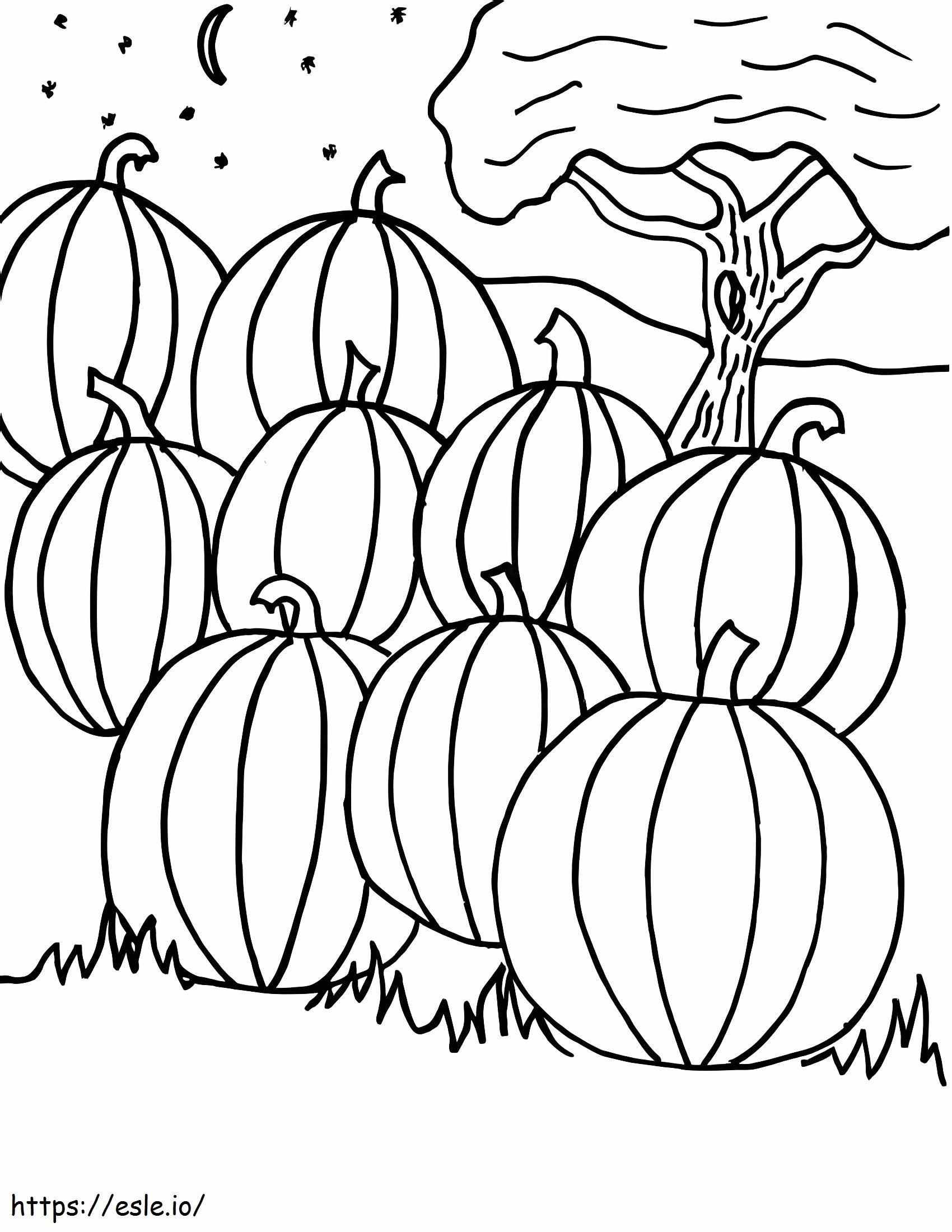 Free Printable Pumpkin Patch Coloring Pages Free Printable Pumpkin Patch Coloring Pages