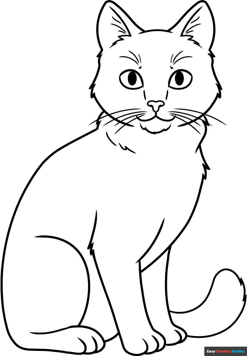 Realistic Cat Coloring Pages Printable