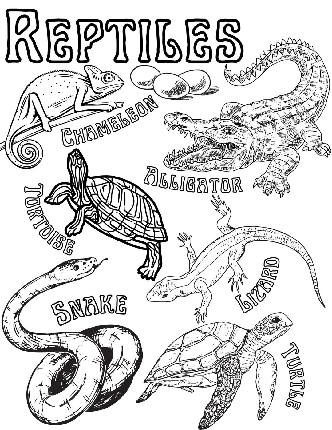 Reptiles Coloring Page Etsy