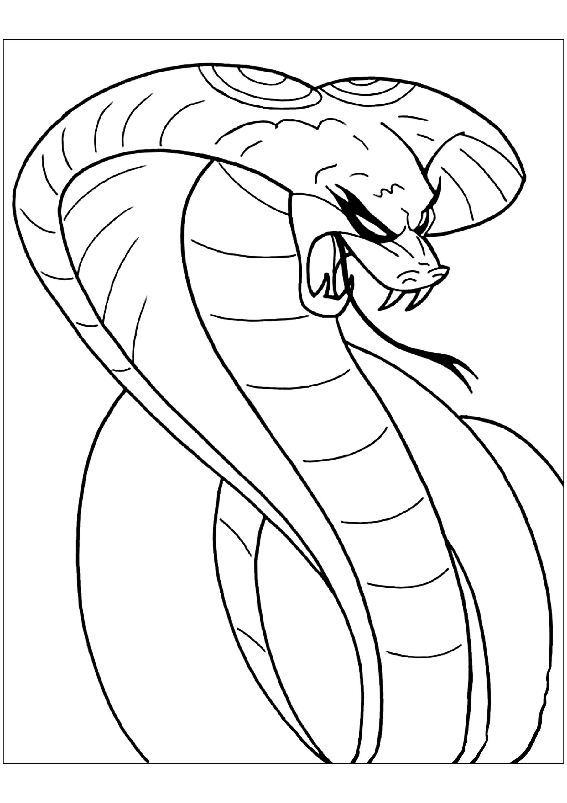 Snake Coloring Page Printable