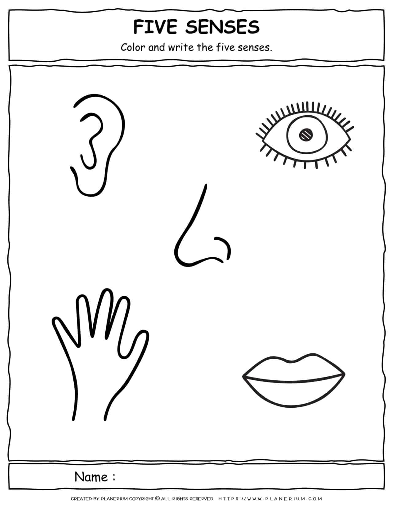 Science Worksheet Five Senses Color And Write Planerium Science Worksheet Five Senses Color And Write Planerium