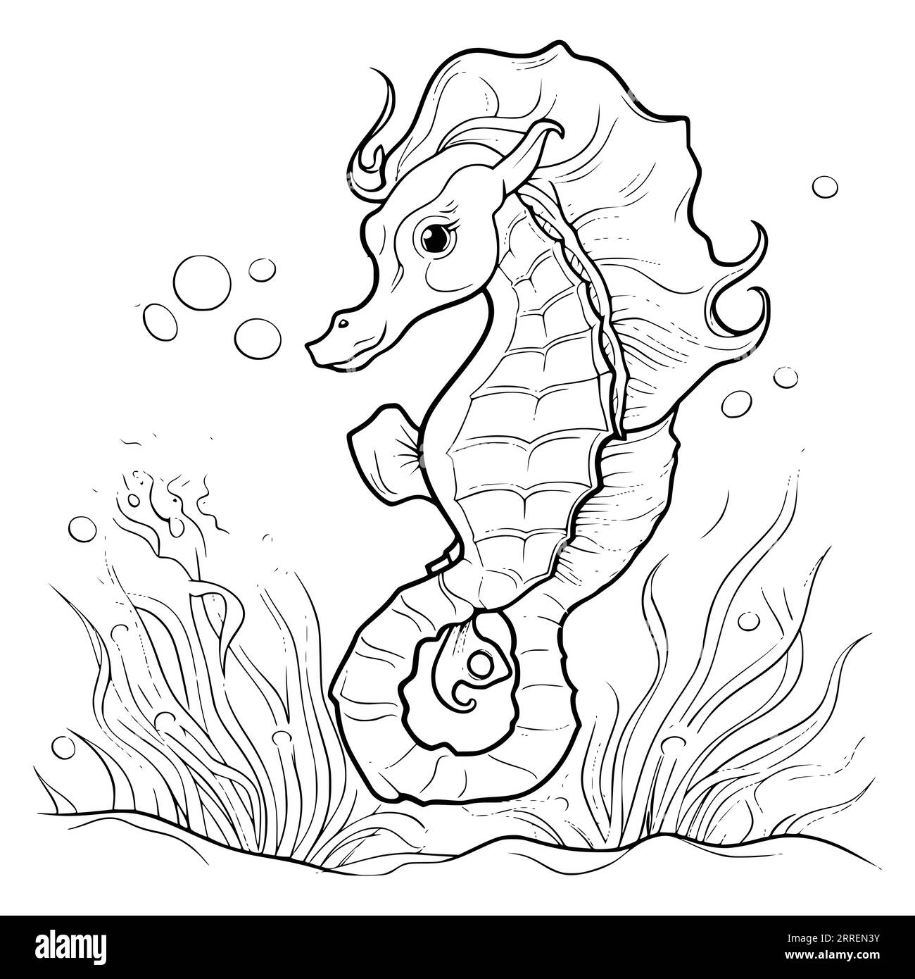 Seahorse Coloring Page Printable Hi res Stock Photography And Images Alamy