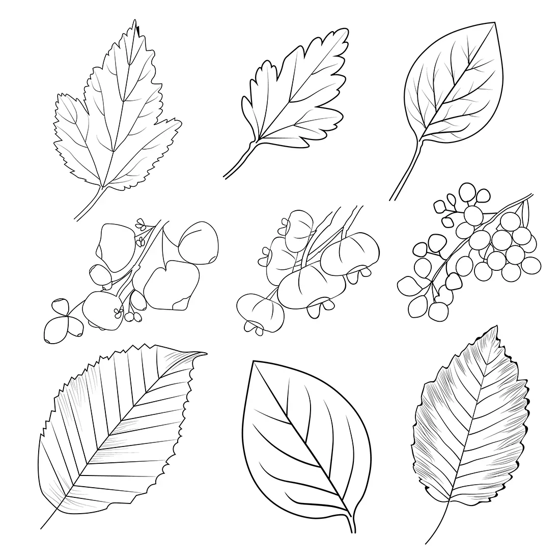Printable Autumn Leaves Coloring Pages Printable Autumn Leaves Coloring Pages