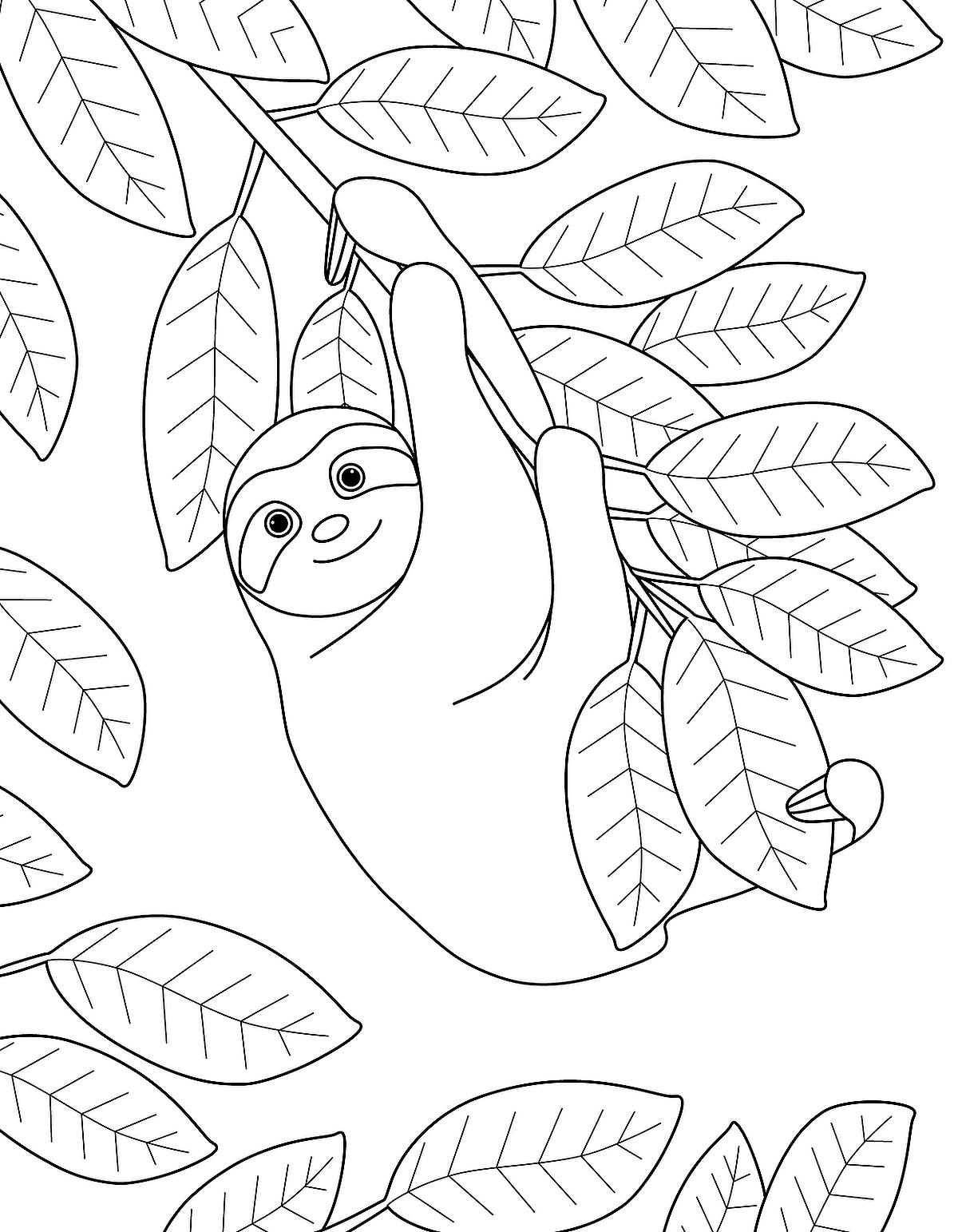 Sloth Coloring Pages Free Printable Coloring Pages Of Sloths To Sloth Coloring Pages Free Printable Coloring Pages Of Sloths To
