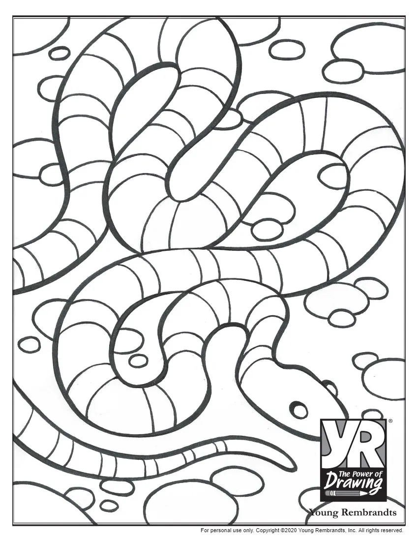 Snake Coloring Page Young Rembrandts Shop