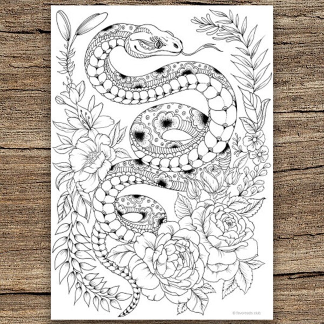Snake Printable Adult Coloring Page From Favoreads coloring Book Pages For Adults And Kids Coloring Sheets Colouring Designs Etsy