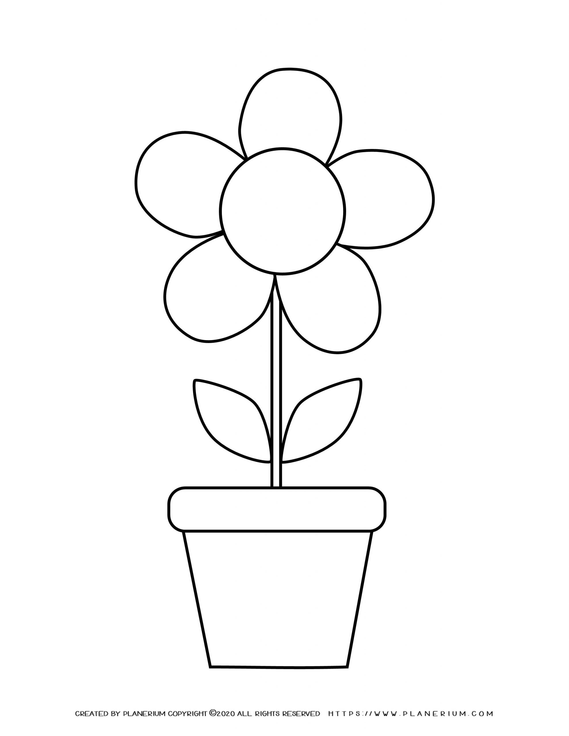 Spring Coloring Page Flower In A Pot Planerium