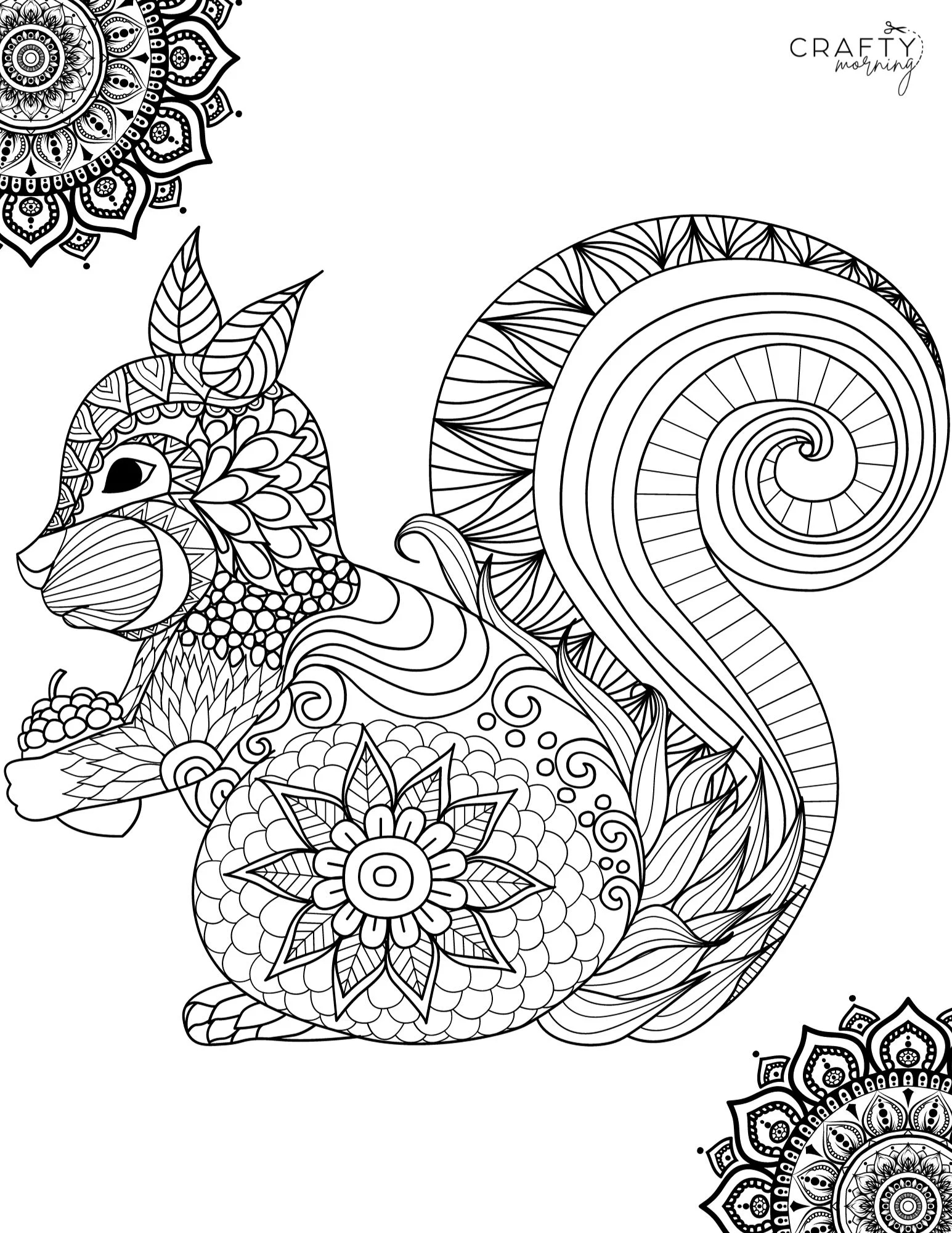 Squirrel Coloring Pages To Print Crafty Morning