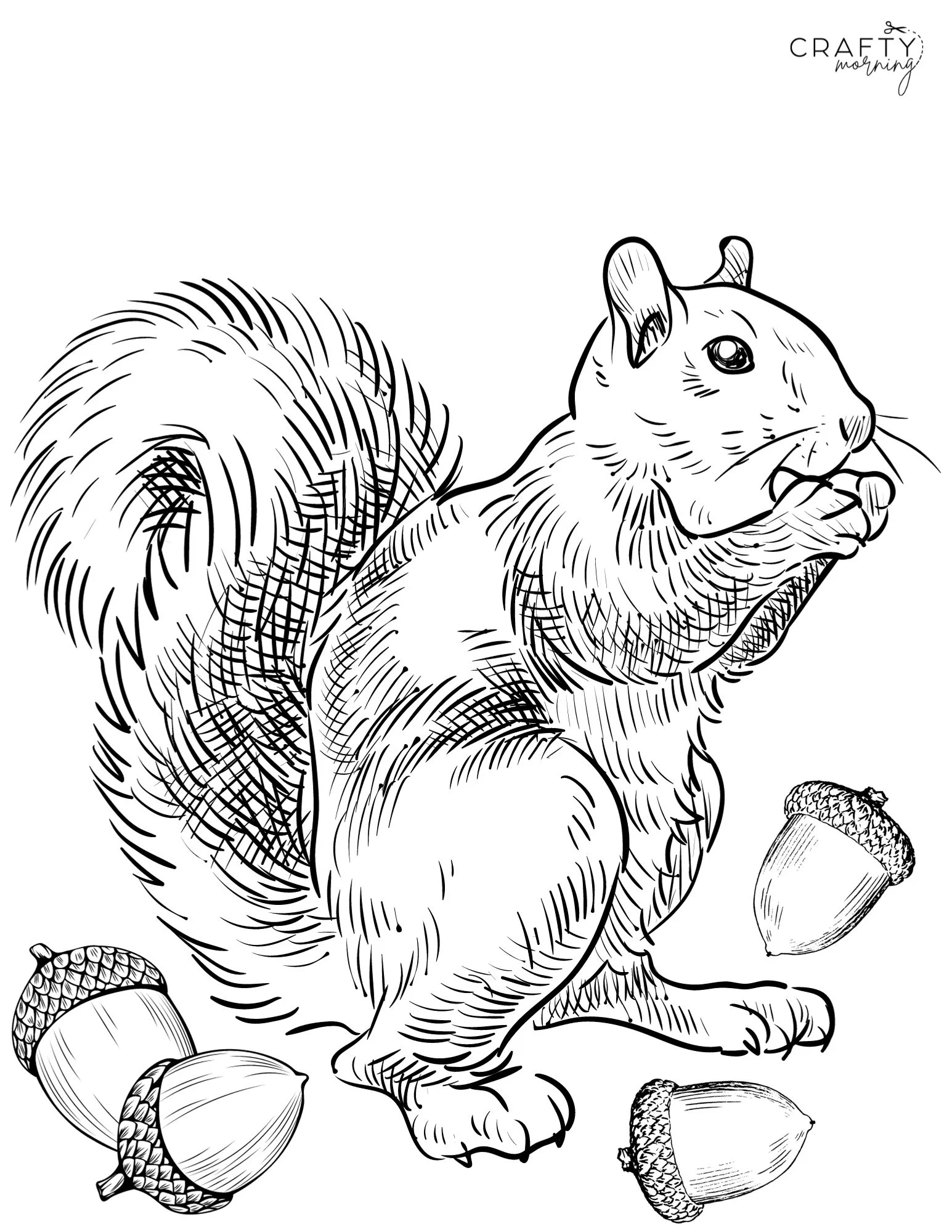 Squirrel Coloring Pages Free Printable Squirrel Coloring Pages Free Printable
