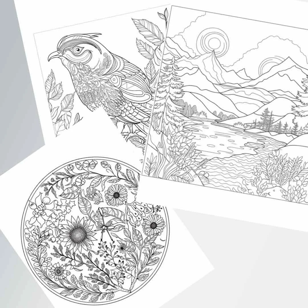 Therapeutic Coloring Page Pack Tilton s Therapy
