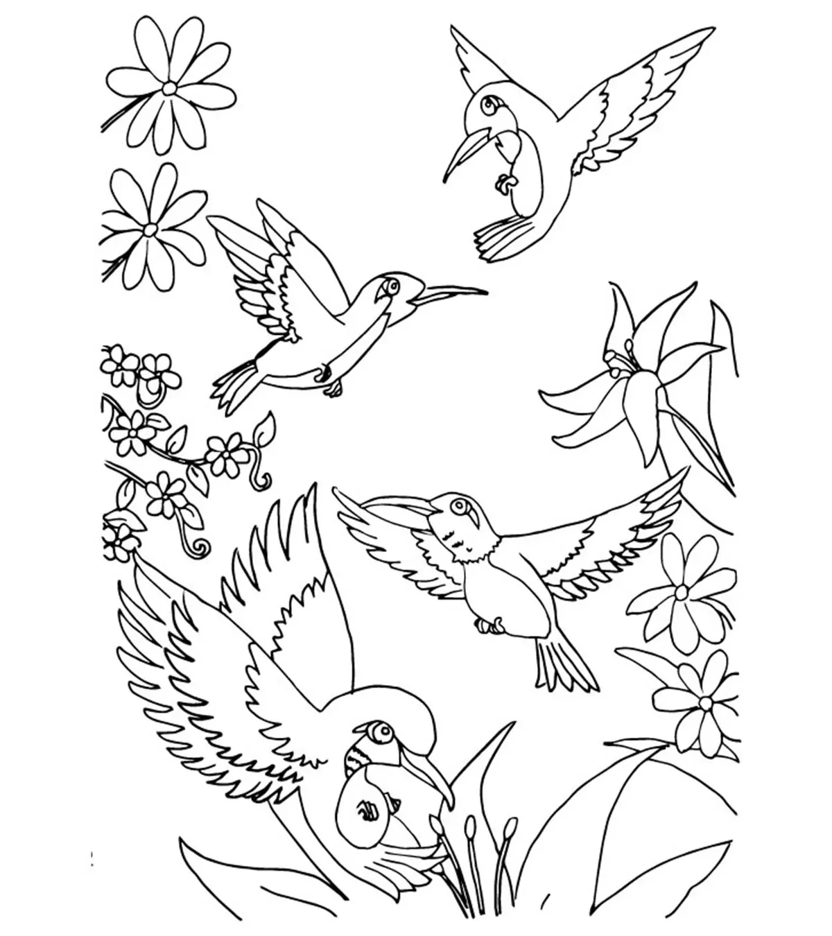 Free Printable Hummingbird Coloring Pages