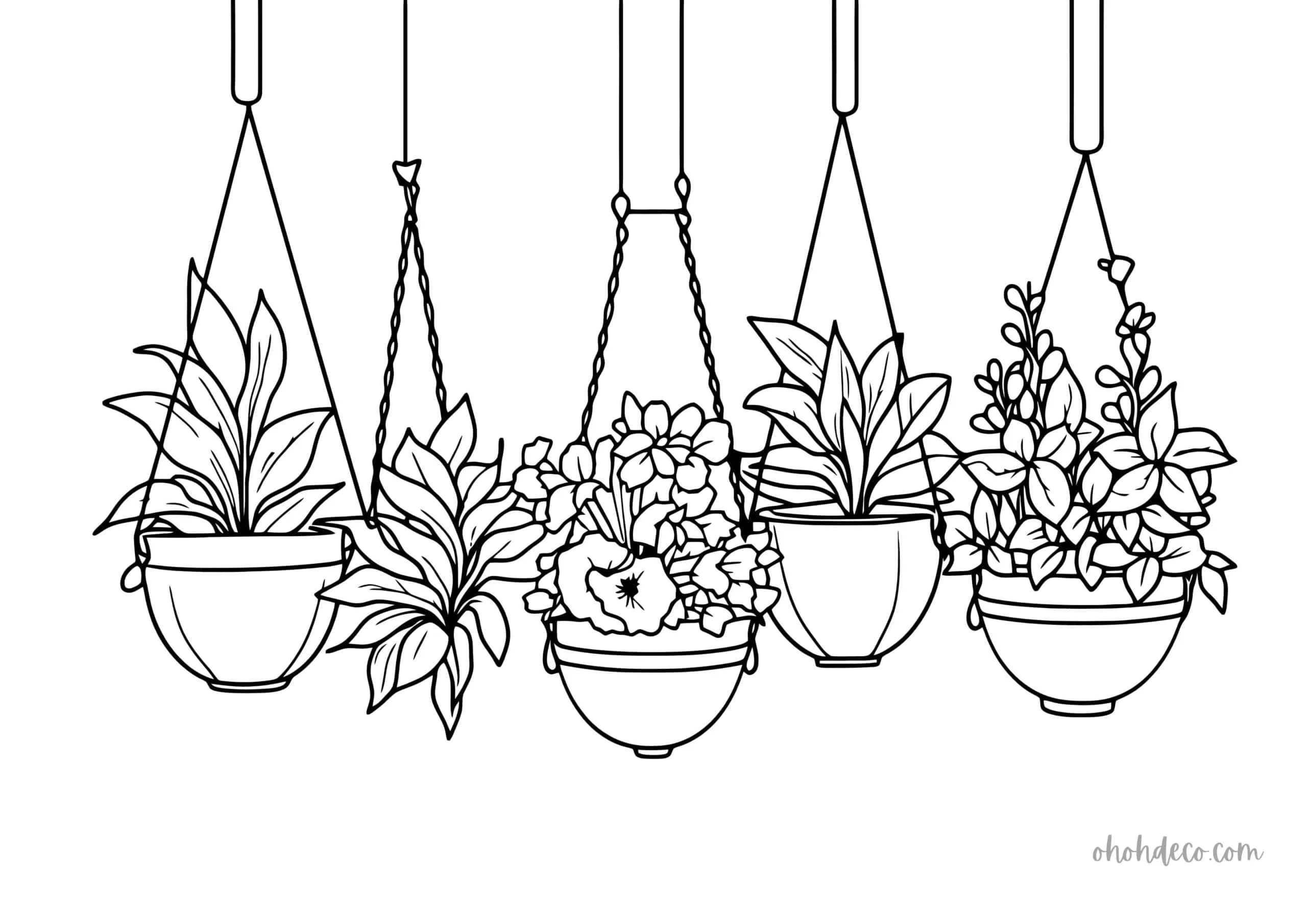 Unconventional 34 Plant Coloring Pages That Will Spark Your Creativity