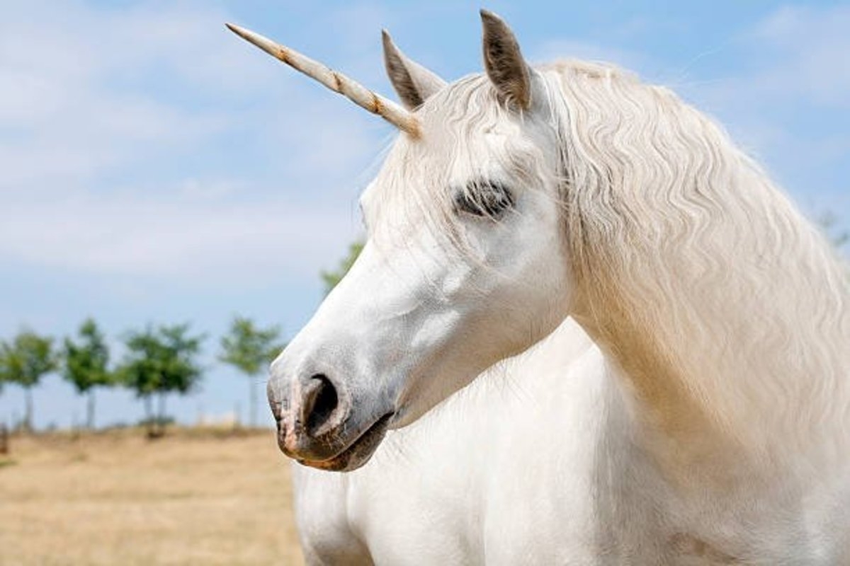 Unicorn Color Pages Printable