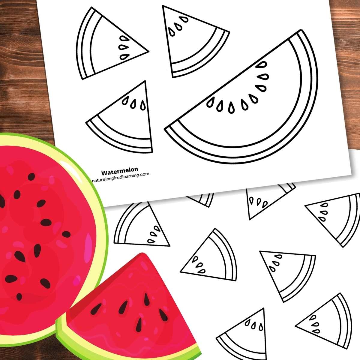 Watermelon Coloring Pages Nature Inspired Learning Watermelon Coloring Pages Nature Inspired Learning