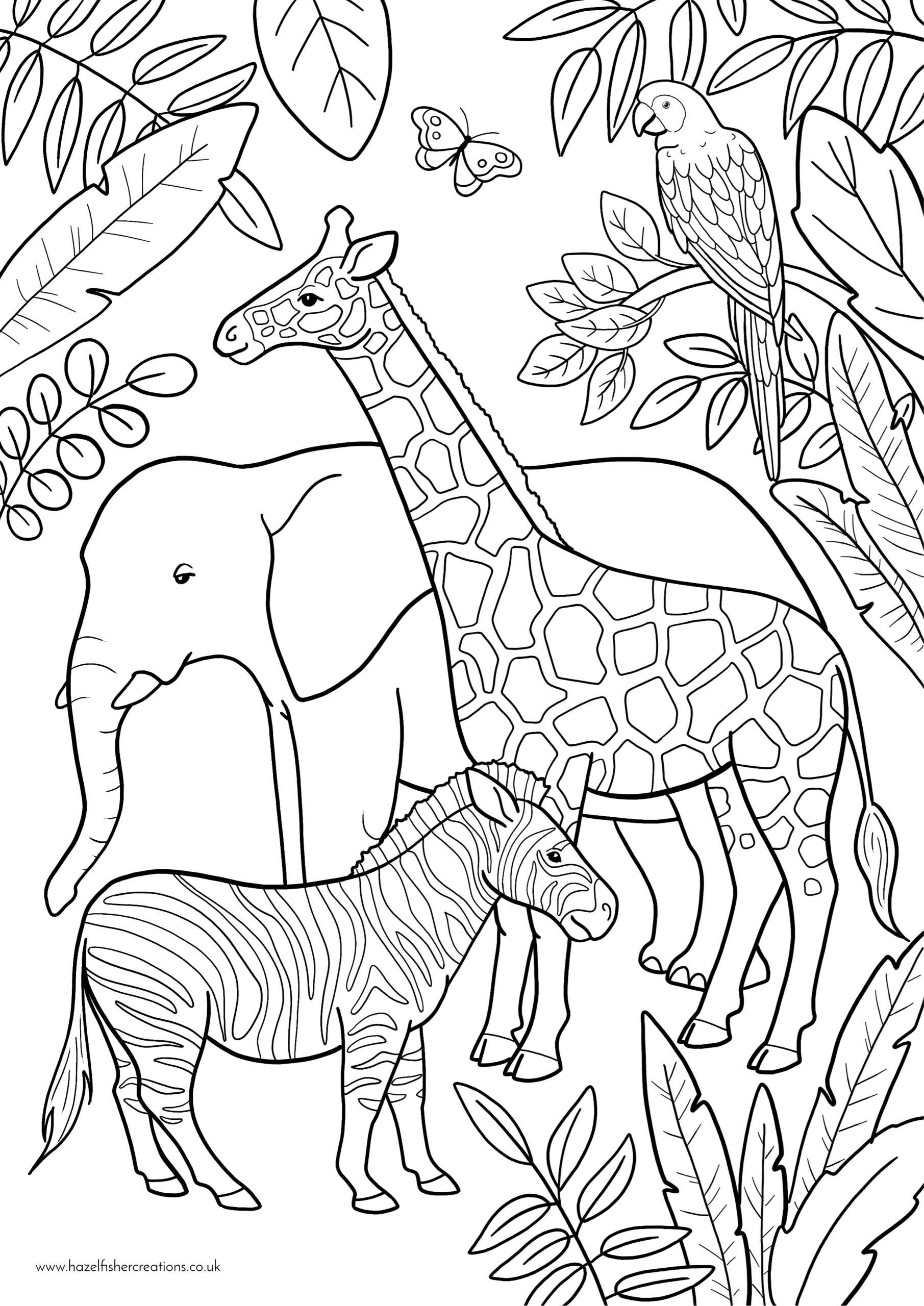 Zoo Coloring Pages Free Zoo Coloring Pages Free