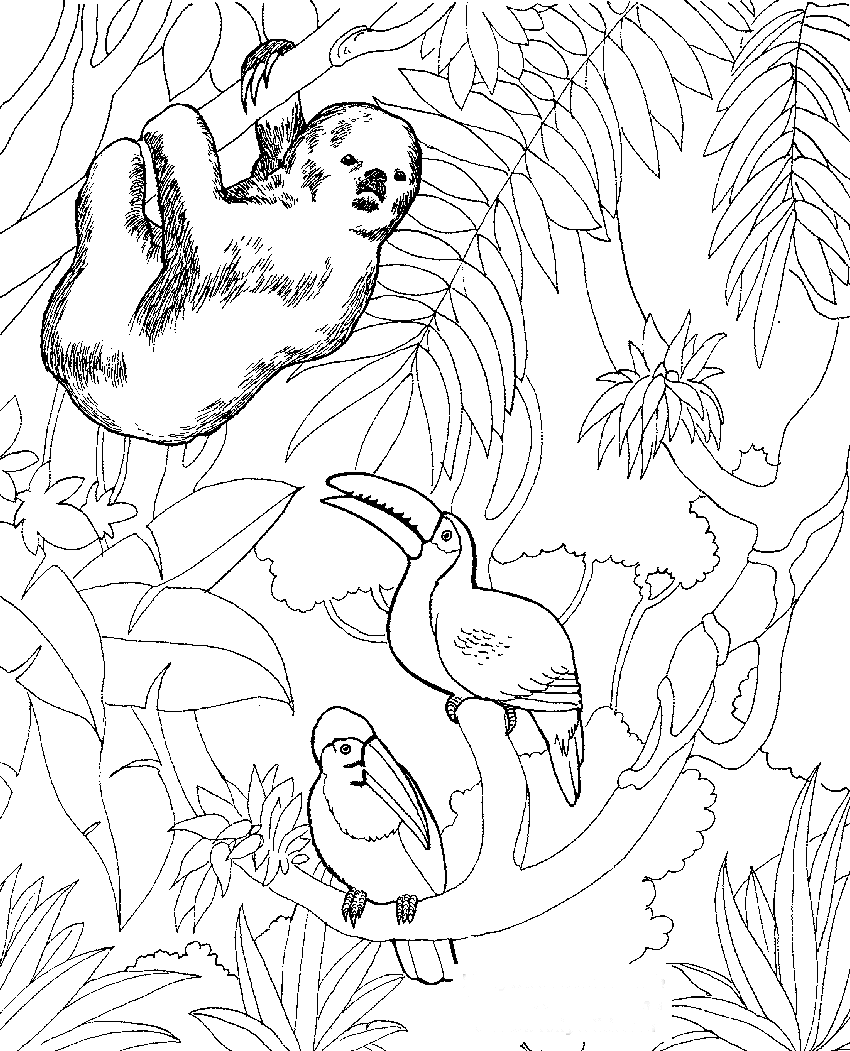 Zoo Coloring Pages Printable Coloring Pages FREE Zoo Coloring Pages Printable Coloring Pages FREE
