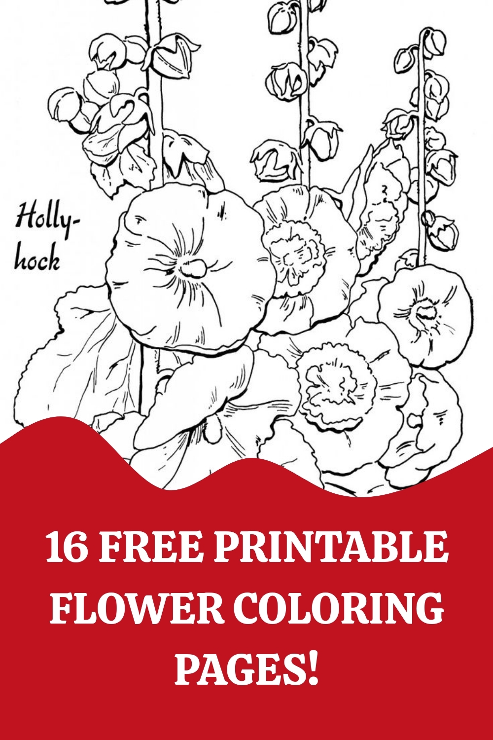 16 Flower Coloring Pages For Adults All Unique The Graphics Fairy 16 Flower Coloring Pages For Adults All Unique The Graphics Fairy