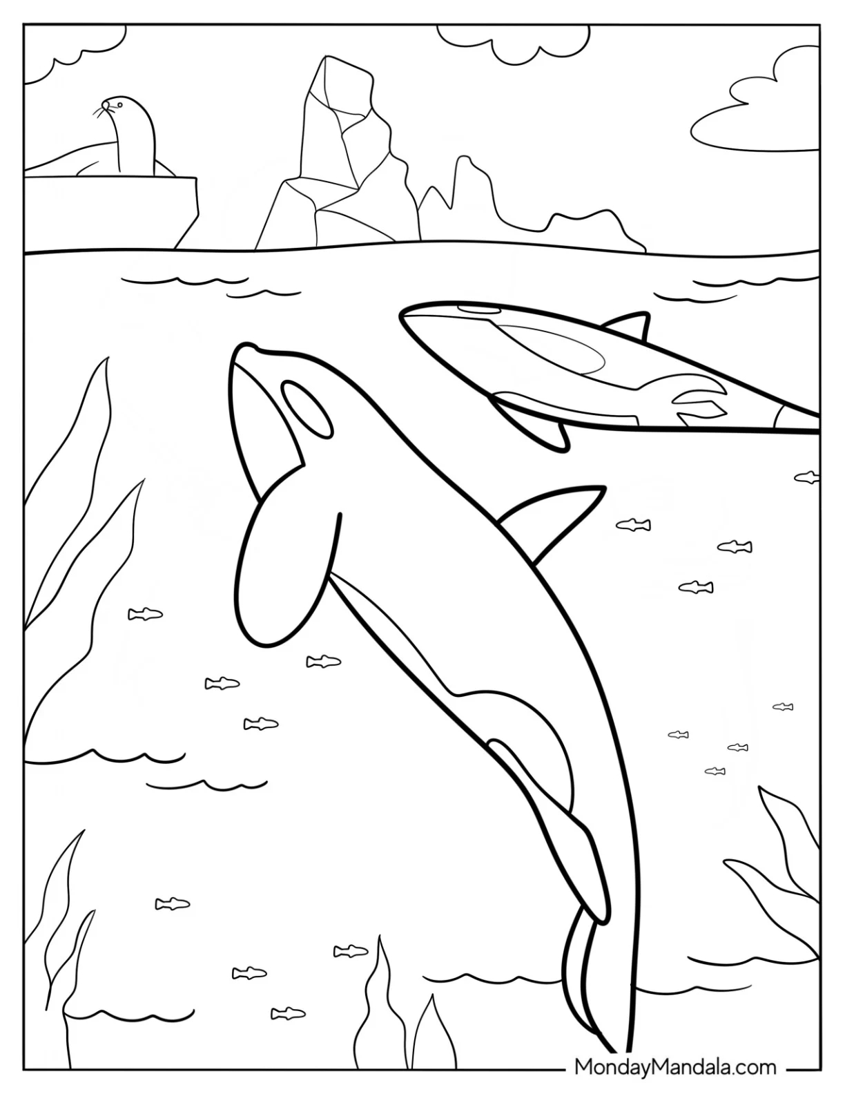 Printable Arctic Animals Coloring Pages