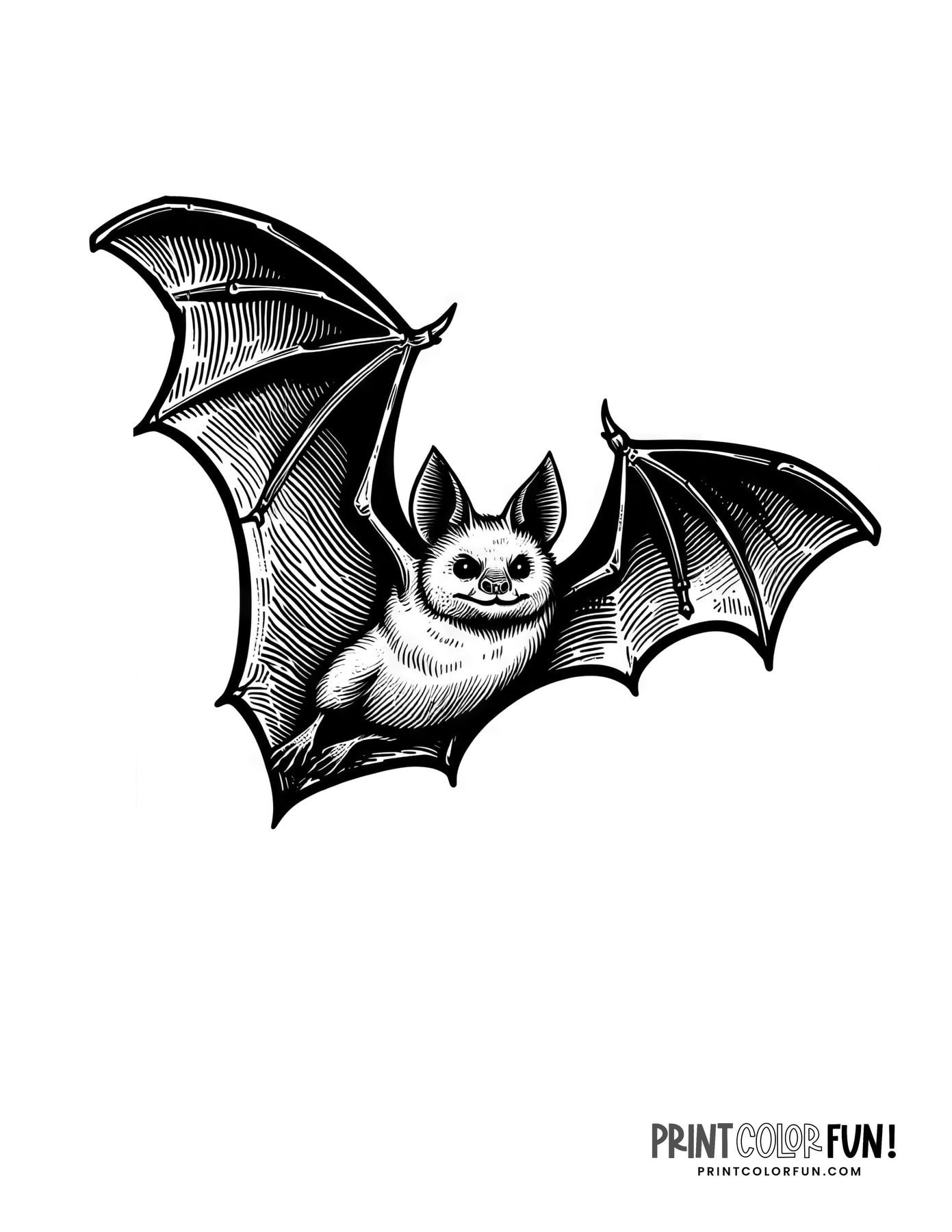 Free Printable Bat Coloring Pages Free Printable Bat Coloring Pages