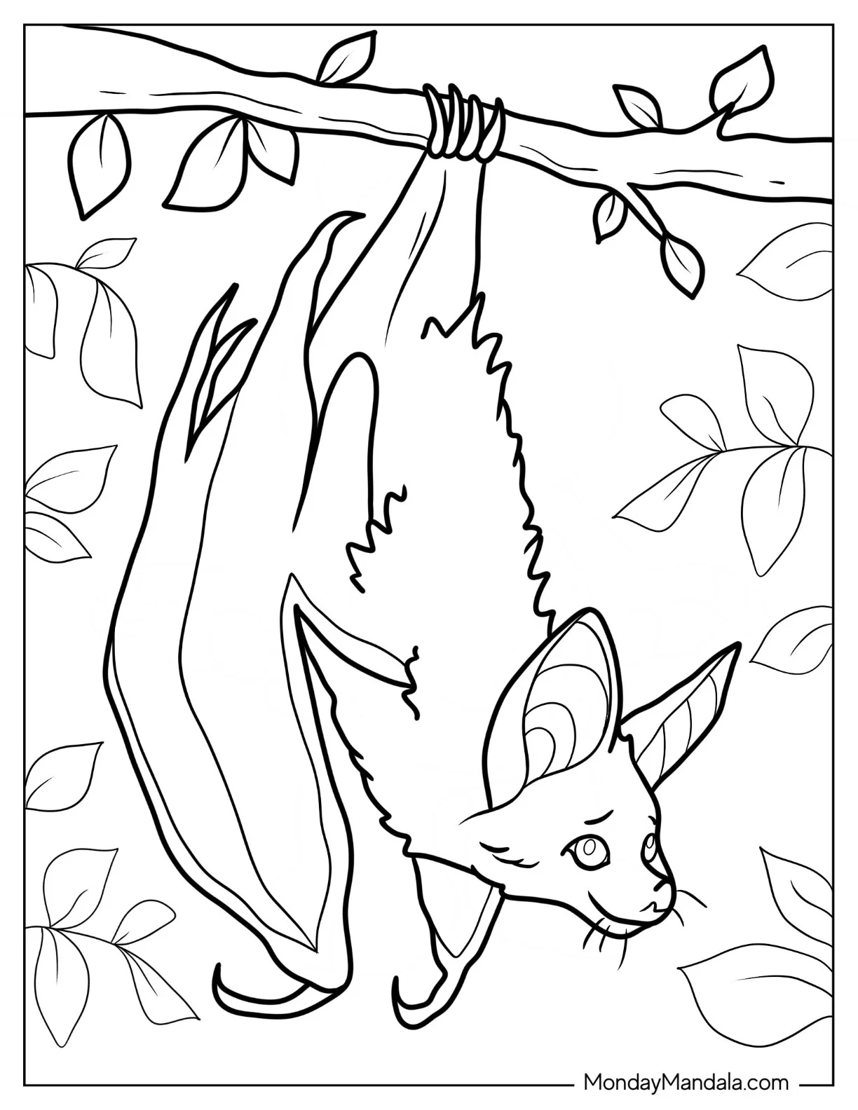 Bat Coloring Pages Free Bat Coloring Pages Free