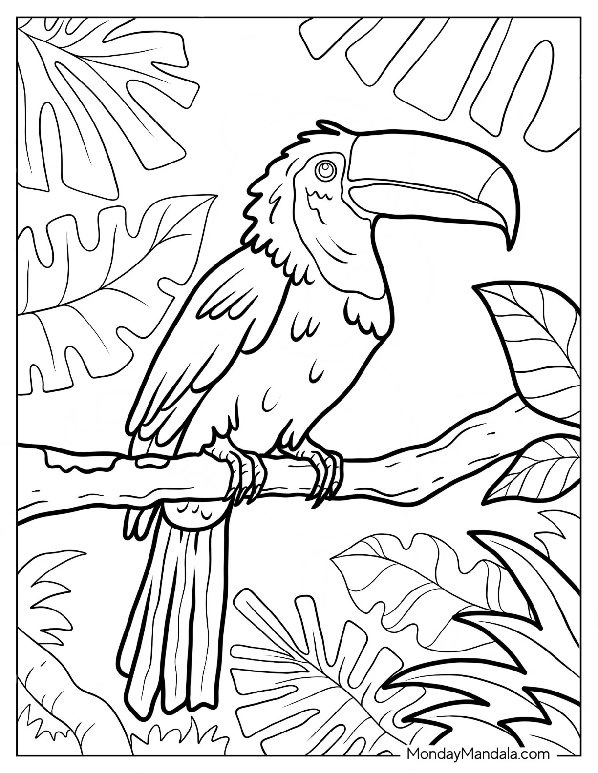 20 Jungle Coloring Pages Free PDF Printables 