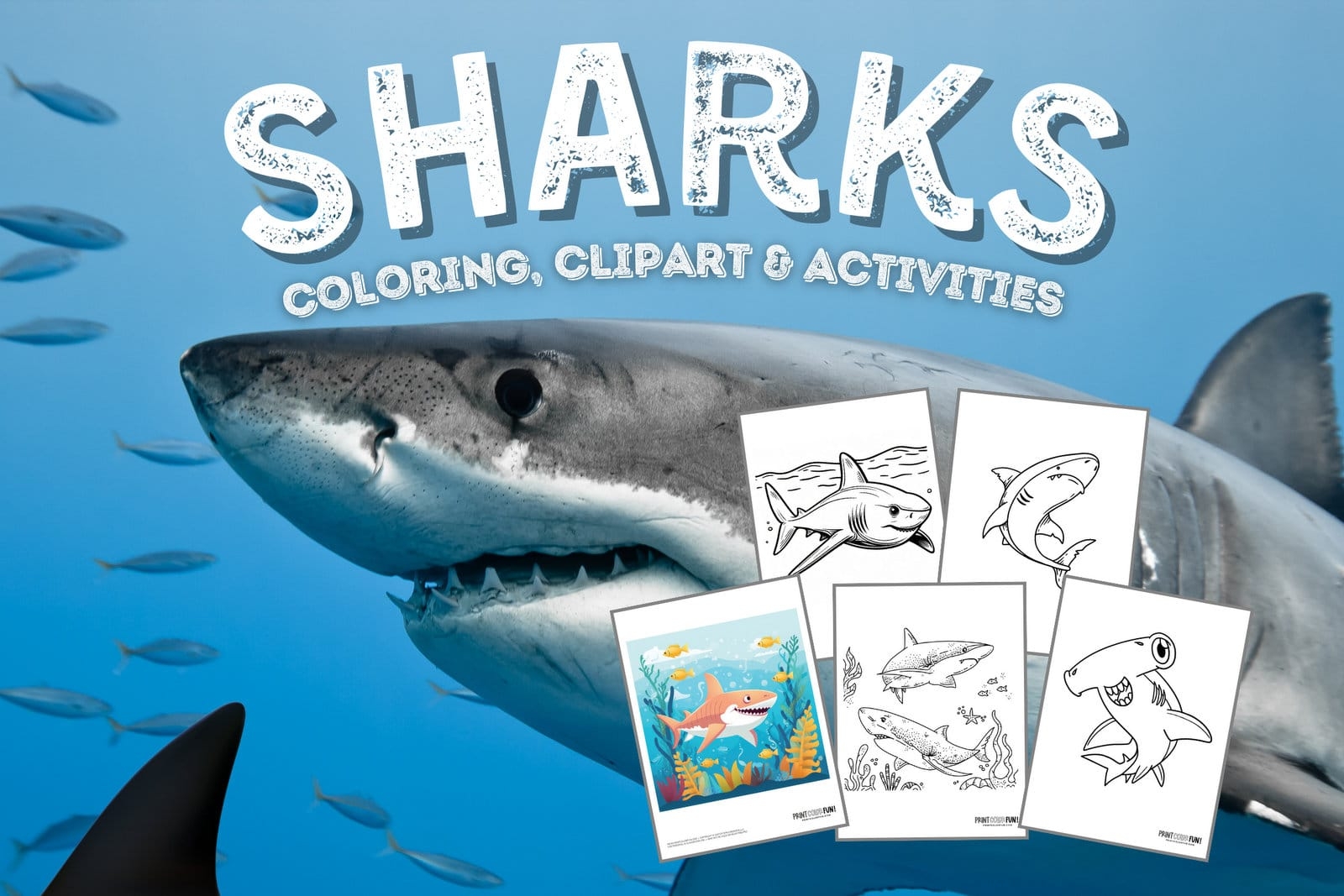 21 Shark Clipart Coloring Pages Dive Into A Sea Of Fun And Creativity With These 10 Learning Activities At PrintColorFun 21 Shark Clipart Coloring Pages Dive Into A Sea Of Fun And Creativity With These 10 Learning Activities At PrintColorFun