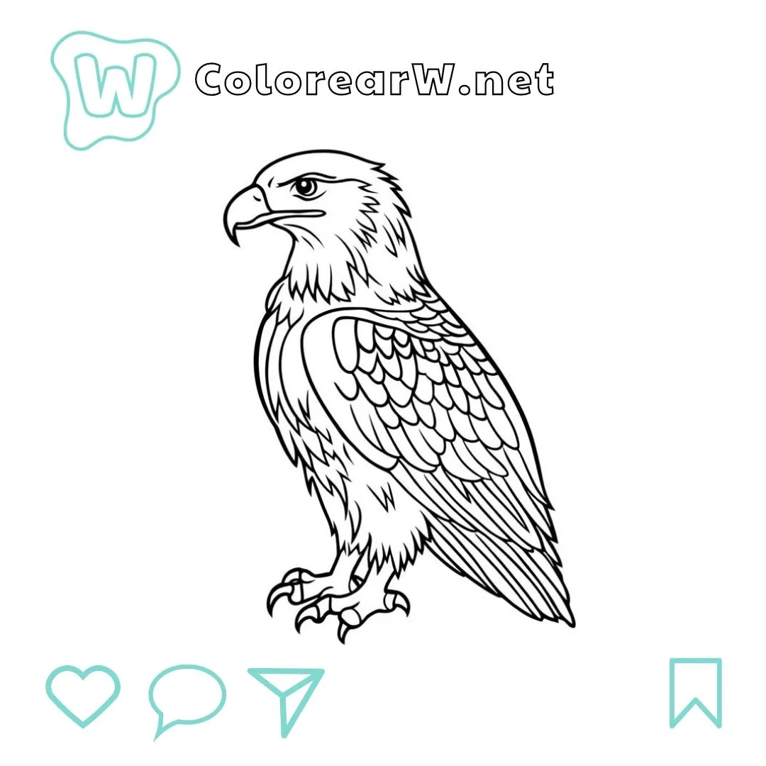 22 Eagles Coloring Pages Free Online Coloring Pages