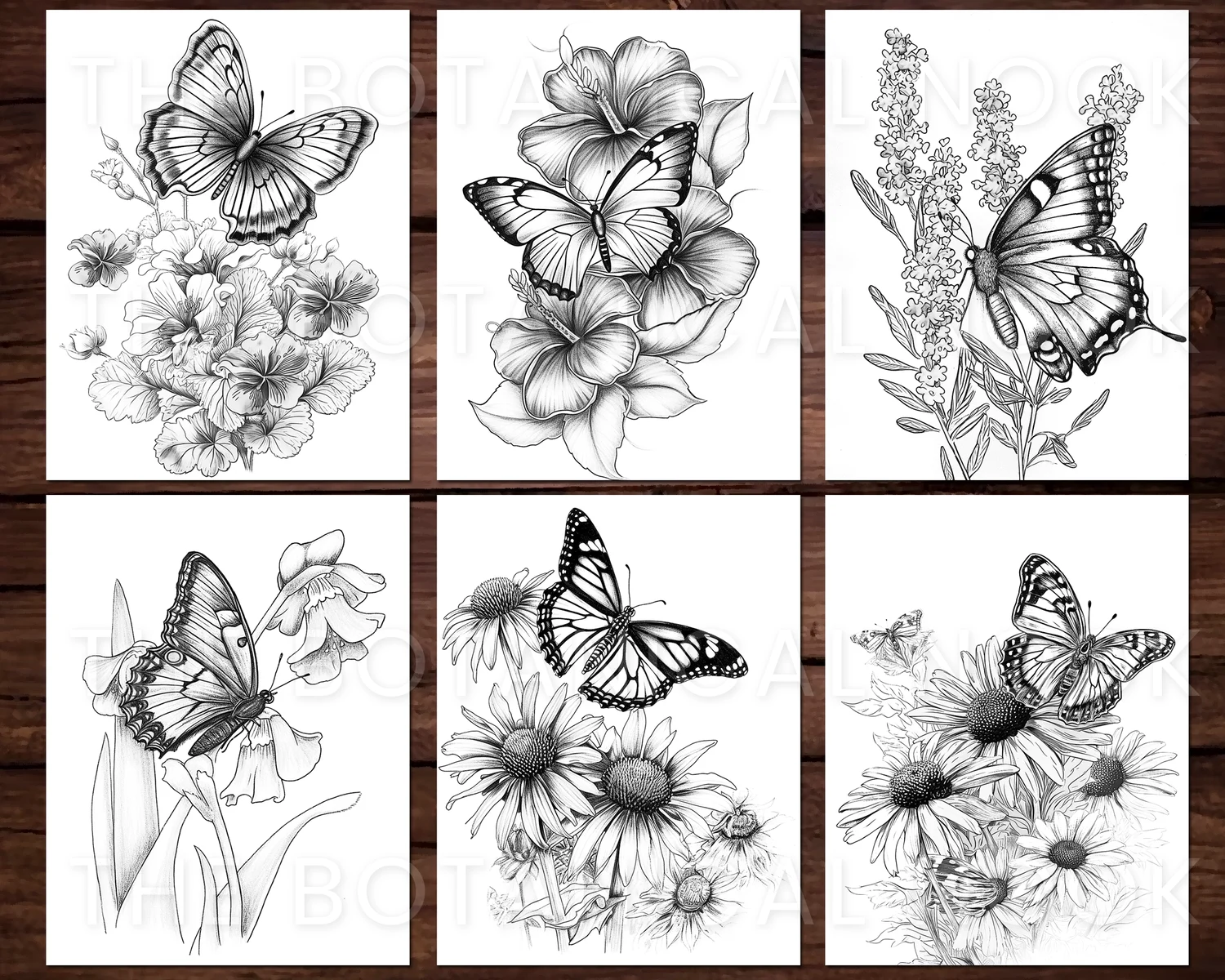 Printable Butterfly Coloring Pages For Adults