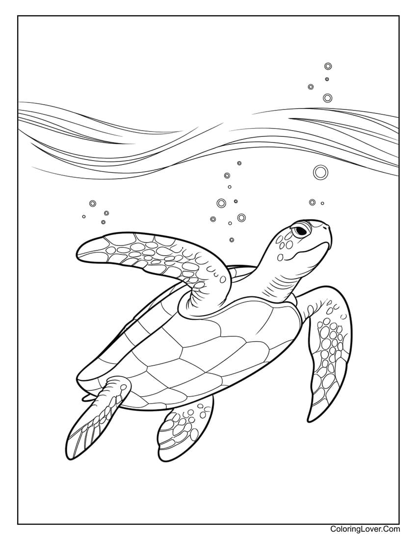 42 Turtle Coloring Pages Free Printables For All Ages 