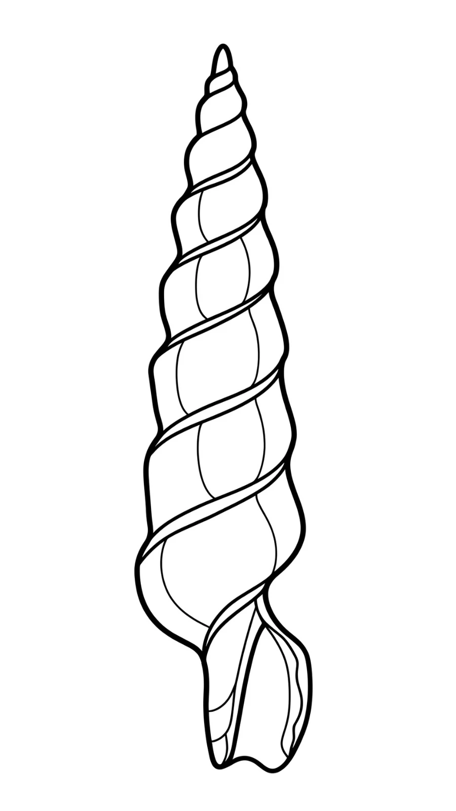 65 Seashell Coloring Pages PDF Sea Treasures To Color 65 Seashell Coloring Pages PDF Sea Treasures To Color