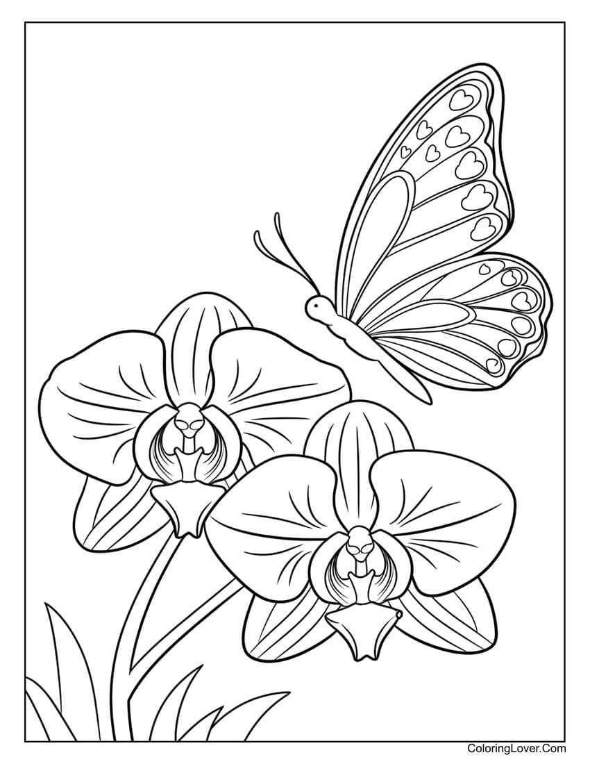 Free Coloring Pages Butterflies And Flowers Free Coloring Pages Butterflies And Flowers