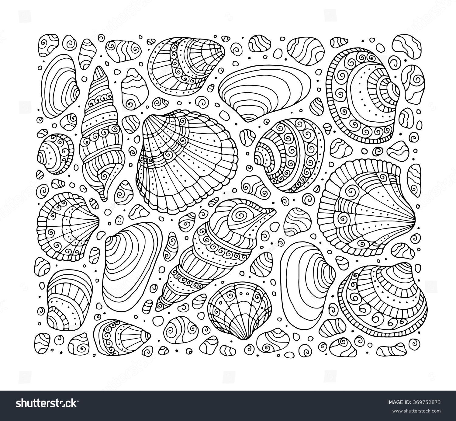 8 Thousand Adult Colouring Shells Royalty Free Images Stock Photos Pictures Shutterstock