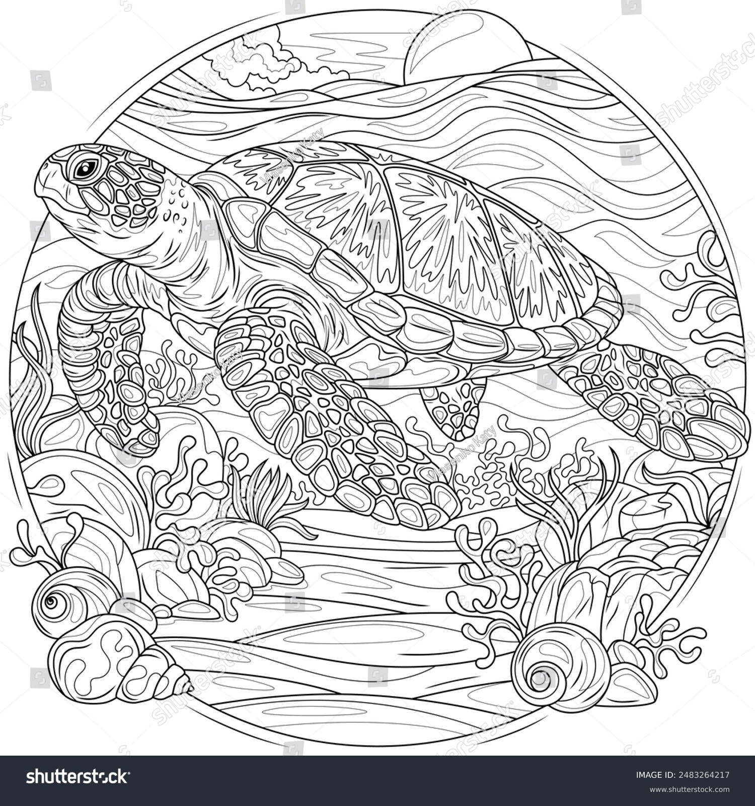 866 Coloring Pages Adults Turtles Stock Vectors And Vector Art Shutterstock